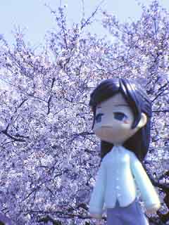 桜ﾉ木ﾉ根元ﾆﾊ･･･埋ﾏｯﾃﾙ？